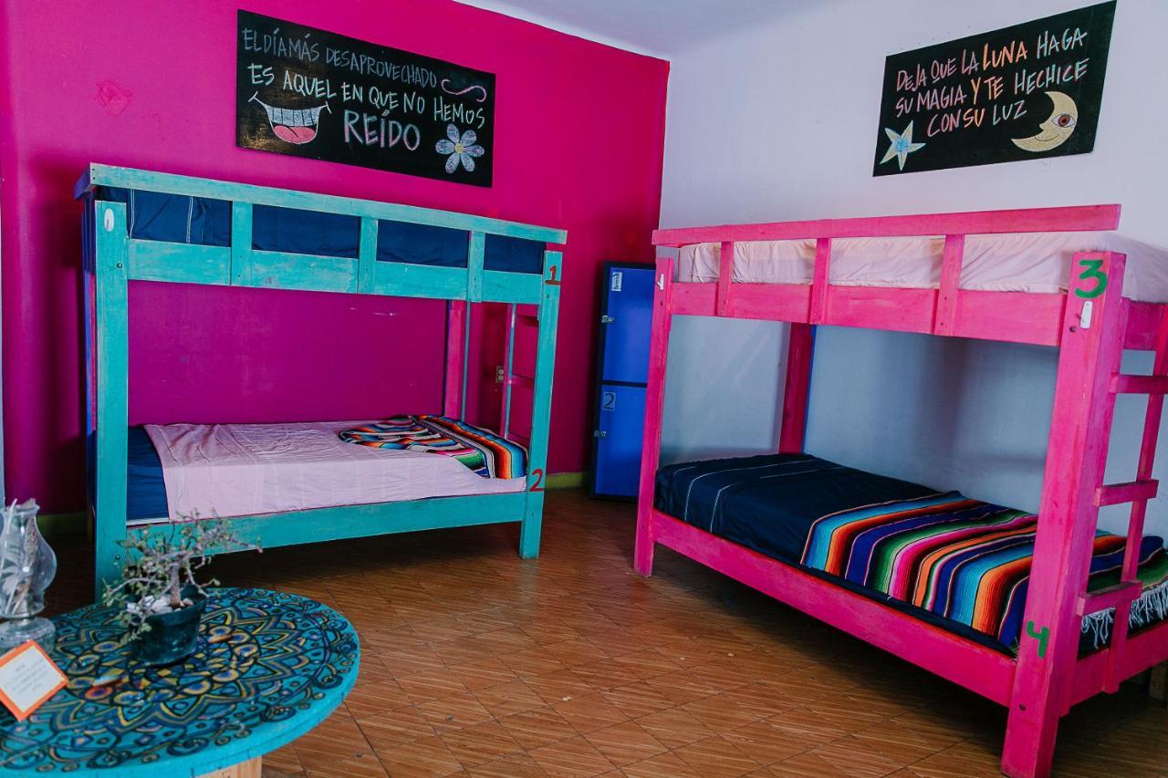 Hostal Chesal San Luis Potosí Eksteriør billede